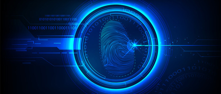 Biometrics-Government